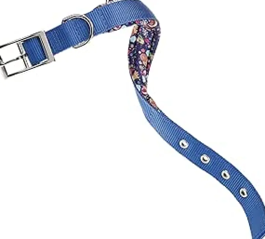 Ferplast Daytona Fantasy Collar de Perro Azul 20-43cm