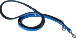 Ferplast Daytona GA Correa para Perros Azul 200cm, 300g