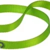 Ferplast Daytona G20 Correa de Mascota 120cm, 200g, Verde