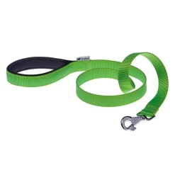 Ferplast Daytona G25 Correa para Perros Nylon Verde 120cm