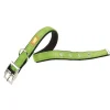 Ferplast Dual CF20 Collar para Perros Verde 43cm