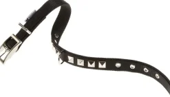 Ferplast Dual CF25 Collar para Perro Negro 1 ud