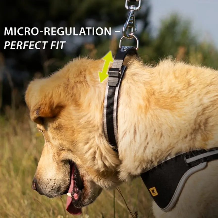 Ferplast Ergocomfort C15 Collar Ergonómico Gris 77g
