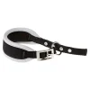 Ferplast Ergocomfort Collar Gris 25mm 1 ud