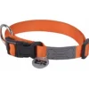 Ferplast Ergotattoo G15-120 Correa Naranja 2 ud