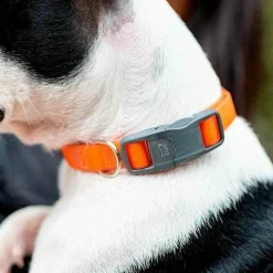 Ferplast Evolution C16/44 Collar Reflectante Naranja 1 ud