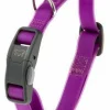 Ferplast Evolution Collar Perro Púrpura 116g