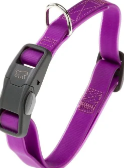 Ferplast Evolution Collar Perro Púrpura 116g
