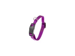 Ferplast Evolution Collar Perro Púrpura 116g