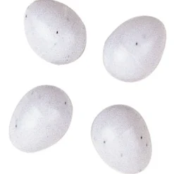 Ferplast FPI 4310 Huevos de Plástico para Pájaros 4 ud