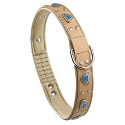 Ferplast Giotto C30-67 Collar para Mascotas 2 ud