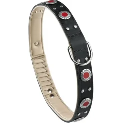 Ferplast Giotto C35/76 Collar Perros Medianos y Grandes Negro 1 ud