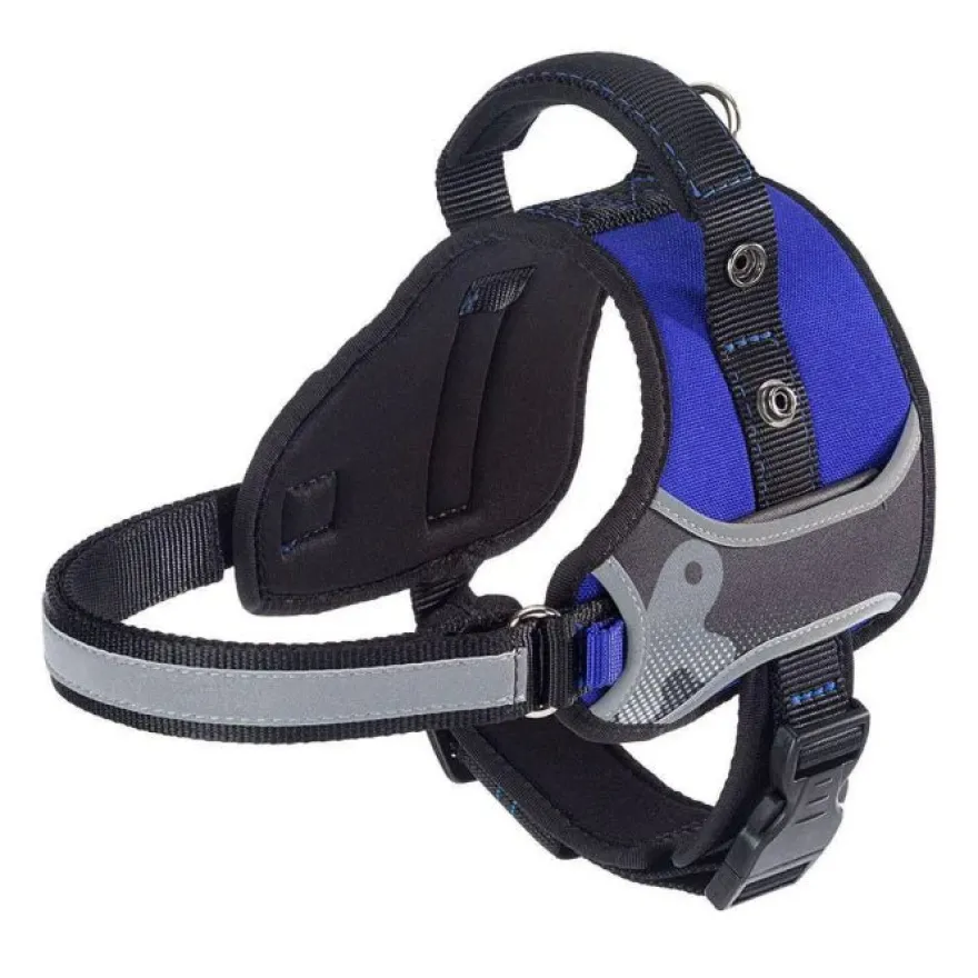 Ferplast Hercules Arnés S Azul 1 ud
