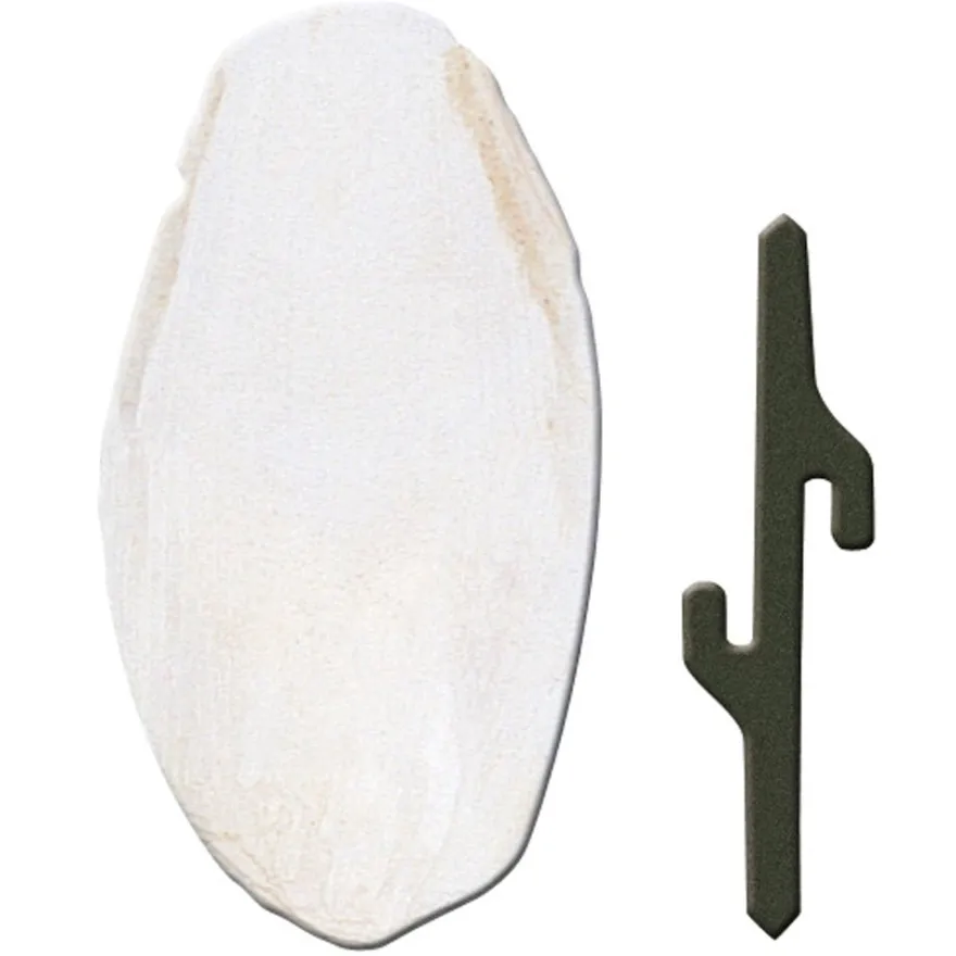 Ferplast Hueso de Sepia Accesorio para Aves 30g