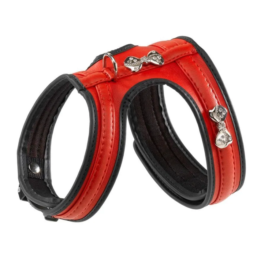 Ferplast Joy P M Arnés Rojo 94g