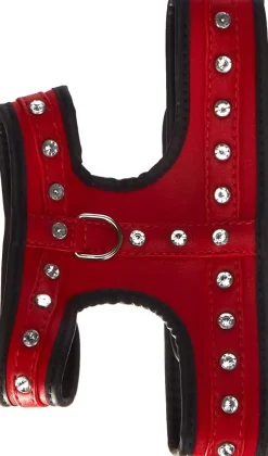 Ferplast Joy P M Arnés Rojo 94g