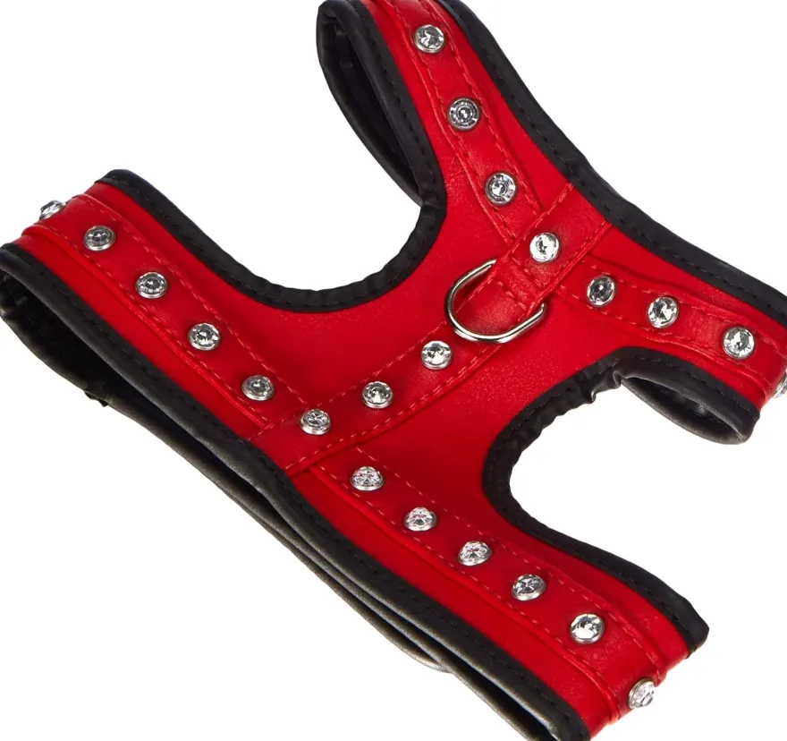 Ferplast Joy P M Arnés Rojo 94g
