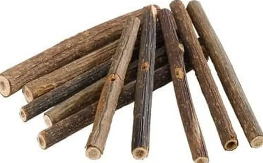 Ferplast Juguete Palos De Madera Para Roedores Marrón 20g