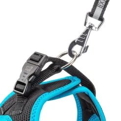 Ferplast Kaori P XL Arnés Negro y Azul 0.1067kg