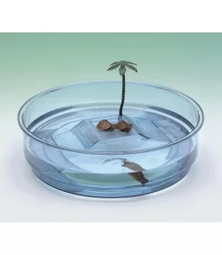 Ferplast Oasi Tortuguera Redonda 34,5cm