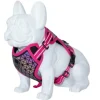 Freedog Arnes Boreal Fucsia para Perros 300g