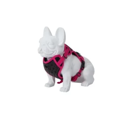Freedog Arnes Boreal Fucsia para Perros 300g
