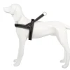 Freedog Arnes Shiva Sport Gris 1 ud