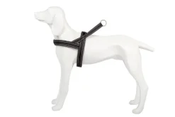 Freedog Arnes Shiva Sport Gris 1 ud