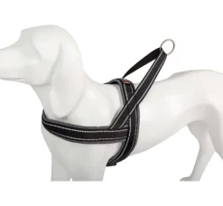 Freedog Arnes Shiva Sport Gris 1 ud