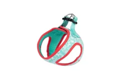 Freedog Arnés Blue Ginger Cookie Multicolor 35-40 cm