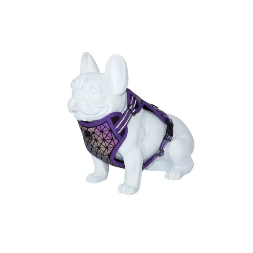 Freedog Arnés Boreal Lila 0.16kg