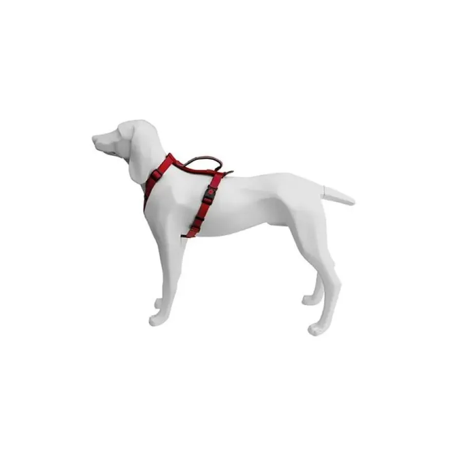 Freedog Arnés Extreme Rojo 100g