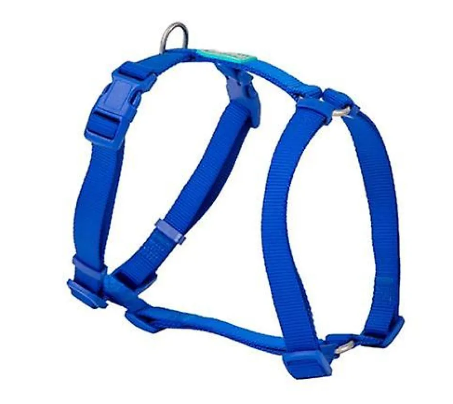 Freedog Arnés Nylon Basic Azul L 20mm