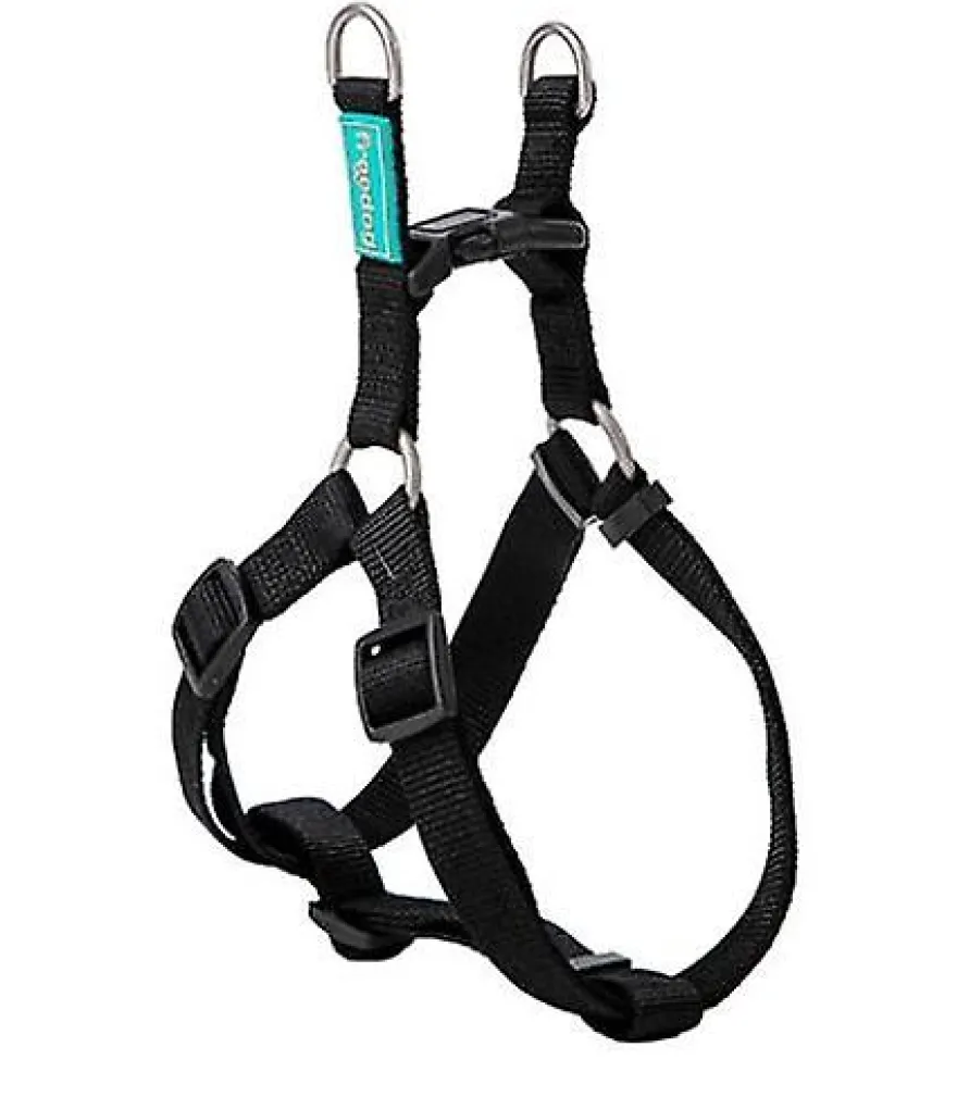 Freedog Arnés Nylon Basic Tipo A Negro 1 ud