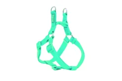 Freedog Arnés Nylon Basic Tipo A Turquesa 1 ud