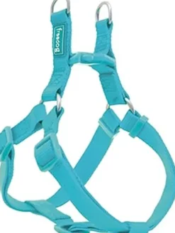 Freedog Arnés Nylon Basic Tipo A Turquesa 1 ud