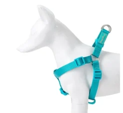 Freedog Arnés Nylon Basic Tipo A Turquesa 1 ud