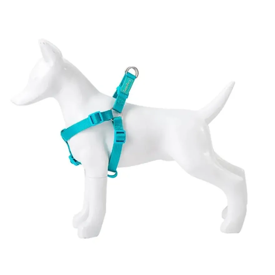 Freedog Arnés Nylon Basic Tipo A Turquesa 1 ud