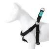 Freedog Arnés Nylon Basic Tipo A Negro 1 ud