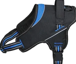 Freedog Arnés Strong XL Nylon Azul 1 ud