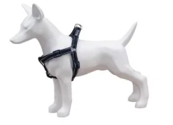 Freedog Arnés Tipo A Nylon Reflectante Negro 1 ud