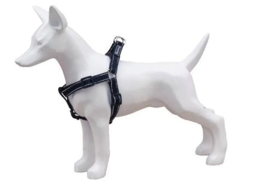 Freedog Arnés Tipo A Nylon Reflectante Negro 1 ud