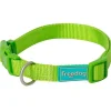 Freedog Basic Collar de Nylon Verde Lima 25mm x 38-66cm