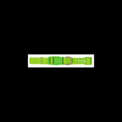 Freedog Basic Collar de Nylon Verde Lima 25mm x 38-66cm