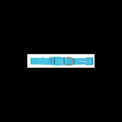 Freedog Basic Collar Nylon Turquesa 1 ud