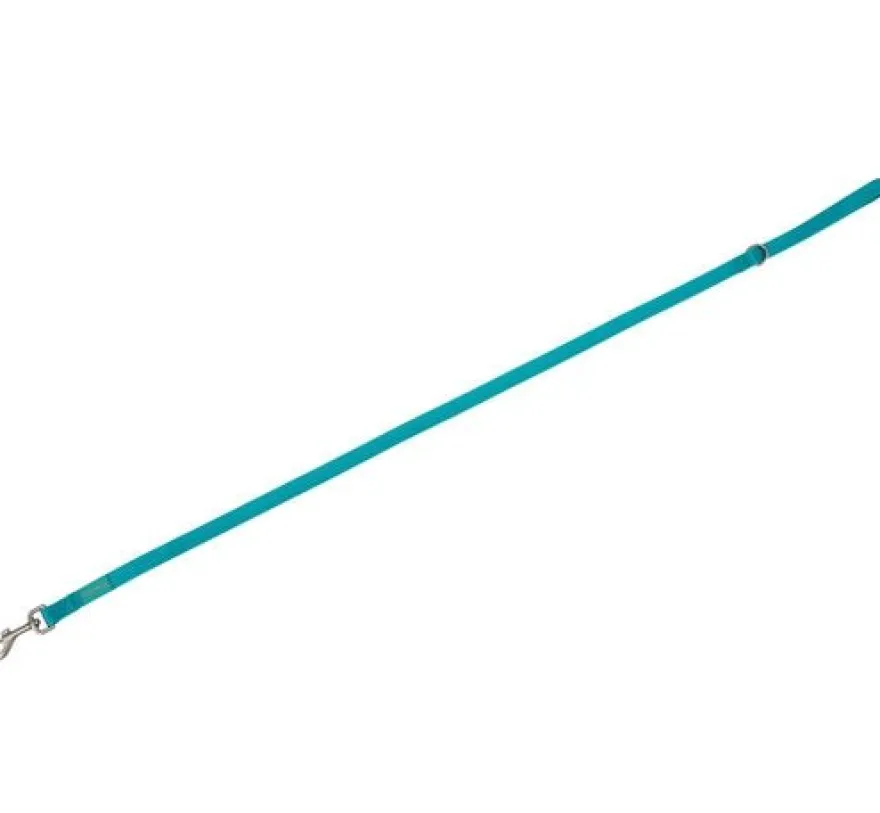 Freedog Basic Correa de Nylon Turquesa 120cm