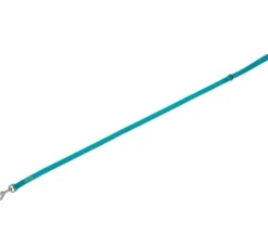 Freedog Basic Correa de Nylon Turquesa 120cm