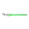 Freedog Basic Correa Nylon Verde Lima 120cm