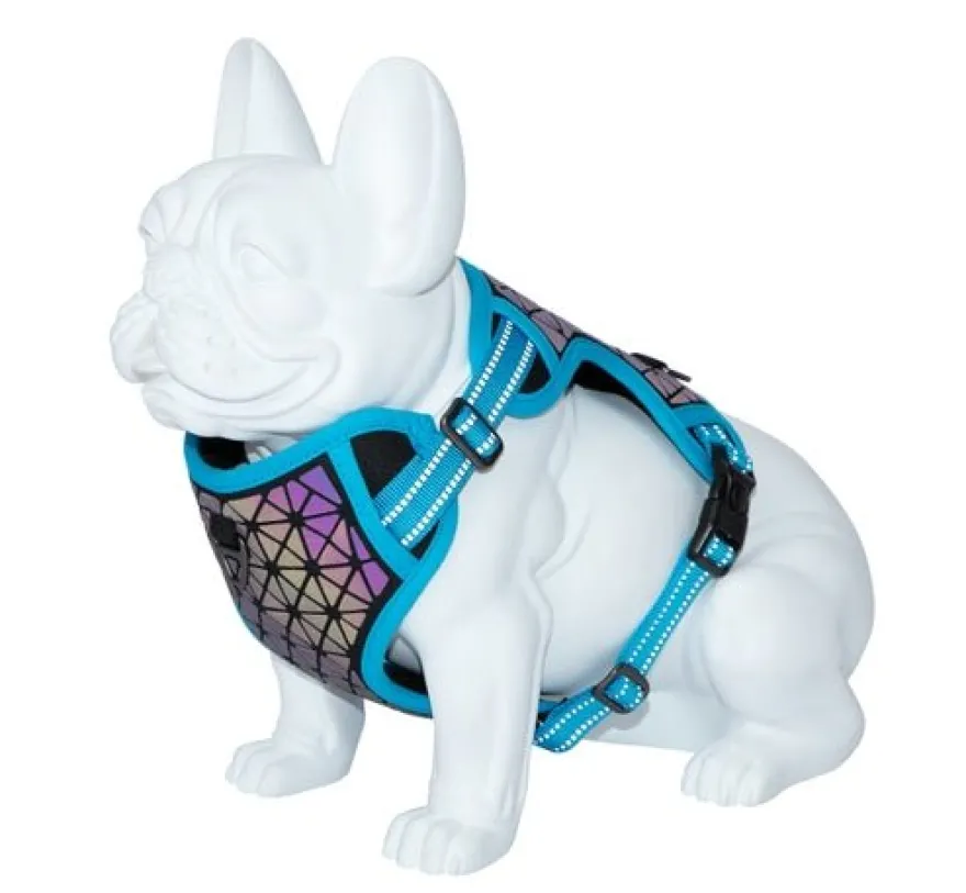 Freedog Boreal Arnés Ajustable Azul Capri 340g