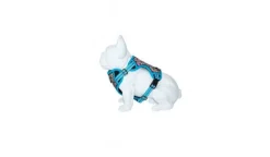 Freedog Boreal Arnés Ajustable Azul Capri 340g